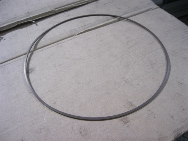 56A0677	ZF.0734317196	Support ring; PTFE resin