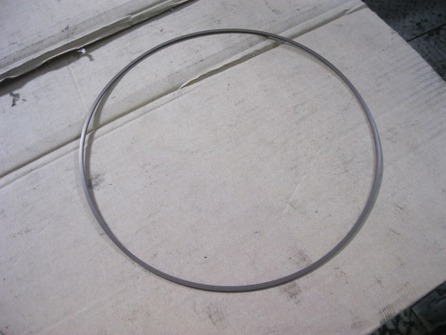 56A0677	ZF.0734317196	Support ring; PTFE resin