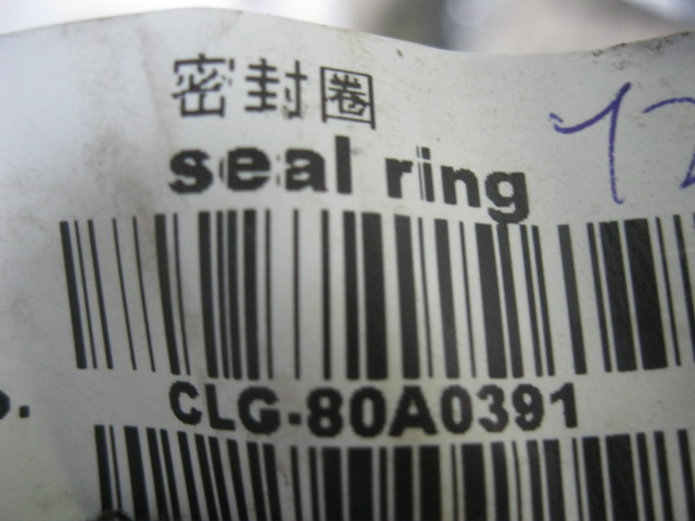 80A0391	ZF.0734317100	sealing ring