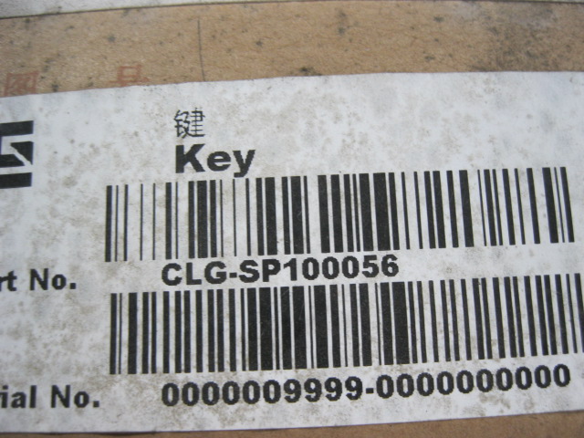 SP100056	ZF.0631501052	key