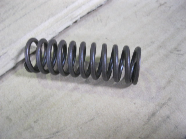 SP100204	ZF.0732041352	spring