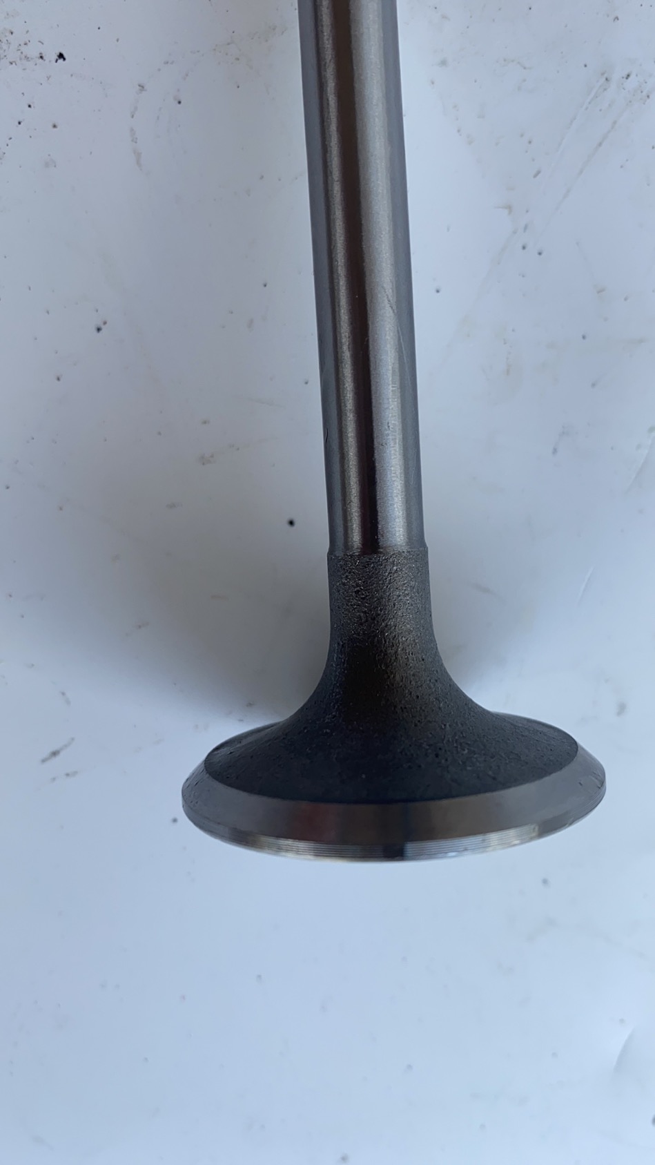 490 		exhaust valve