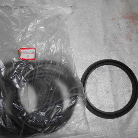 16Y-11-00026		 sealing ring