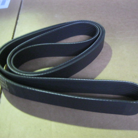 SP105601	3289369	belt