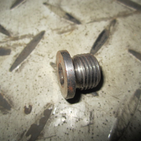 SP105650	0636302003	screw plug