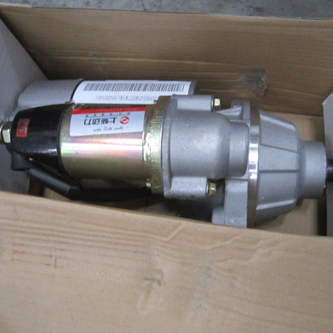 SP106166	D11-101-50+A	starter motor