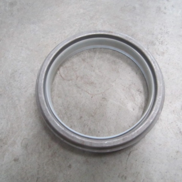 SP106220	4089342	oil seal