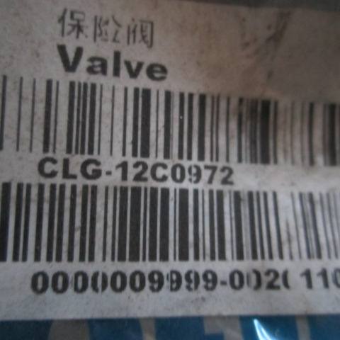 12C0972		Safety valve VZ02360-0097