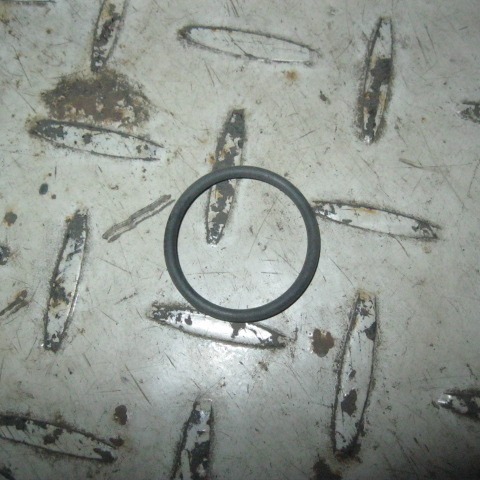 SP106487	ZF.0501317046	O-ring