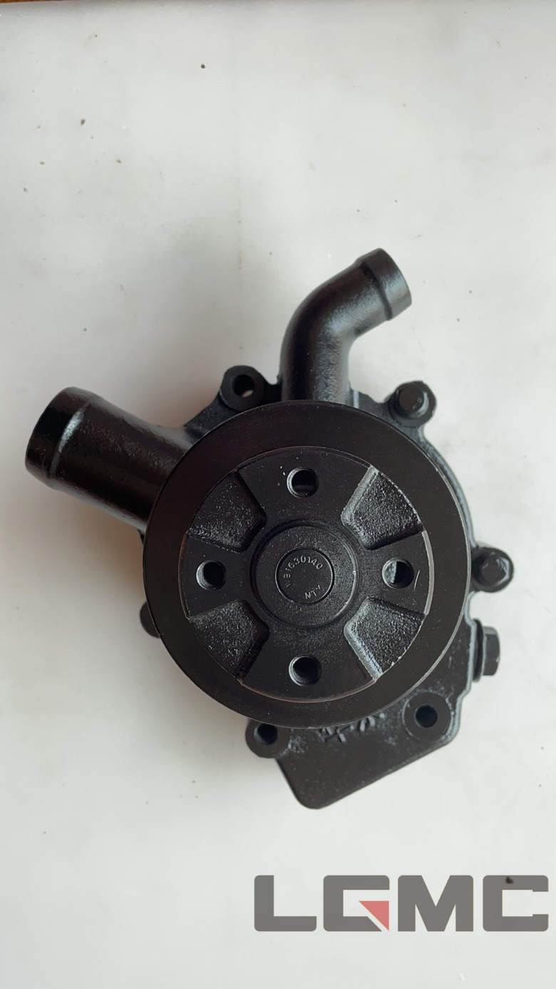 Weifang 495 small wheel water pump