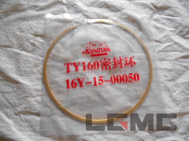 16Y-15-00050 sealing ring 0.1kg