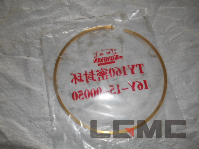 16Y-15-00050 sealing ring 0.1kg