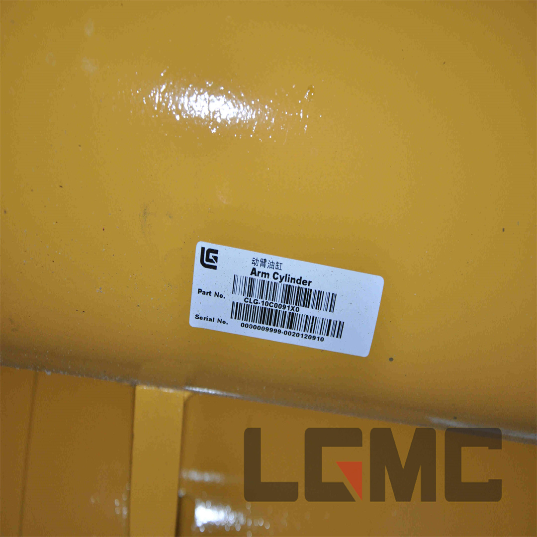 10C0091X0 Boom cylinder