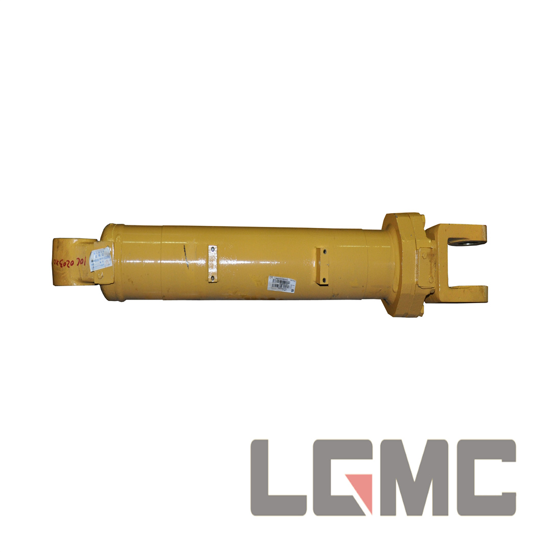 10C0203X0 Boom cylinder