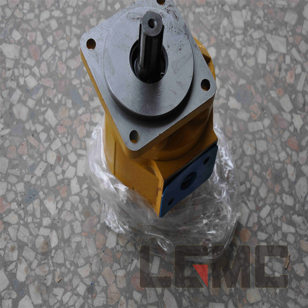 11C0009 Gear Pump