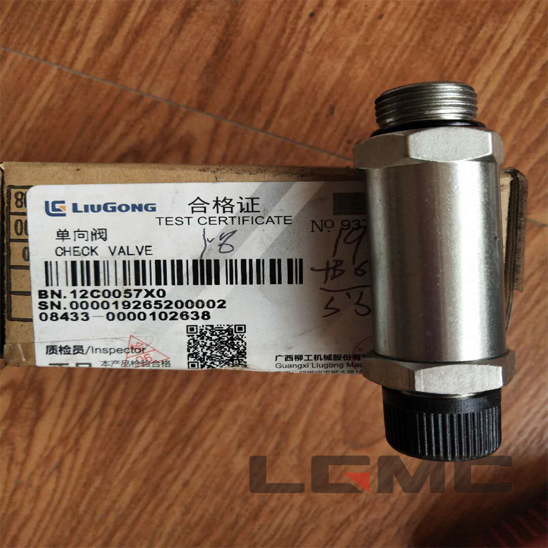 12C0057X0 Check valve