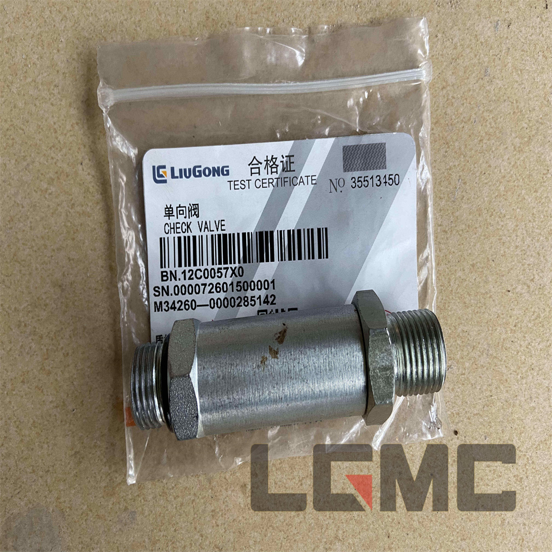 12C0057 Check valve