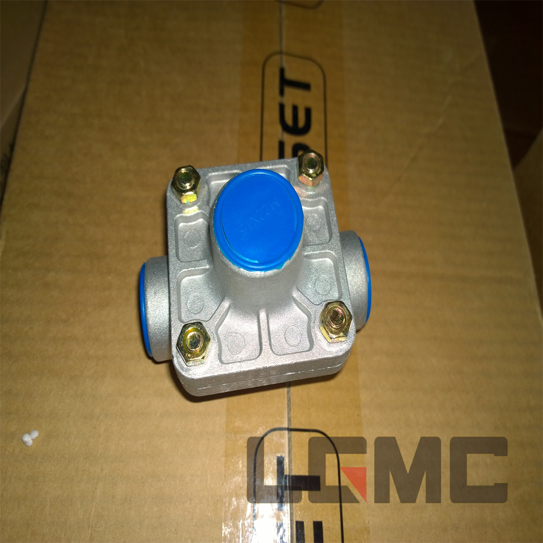 13C0012 Quick release valve
