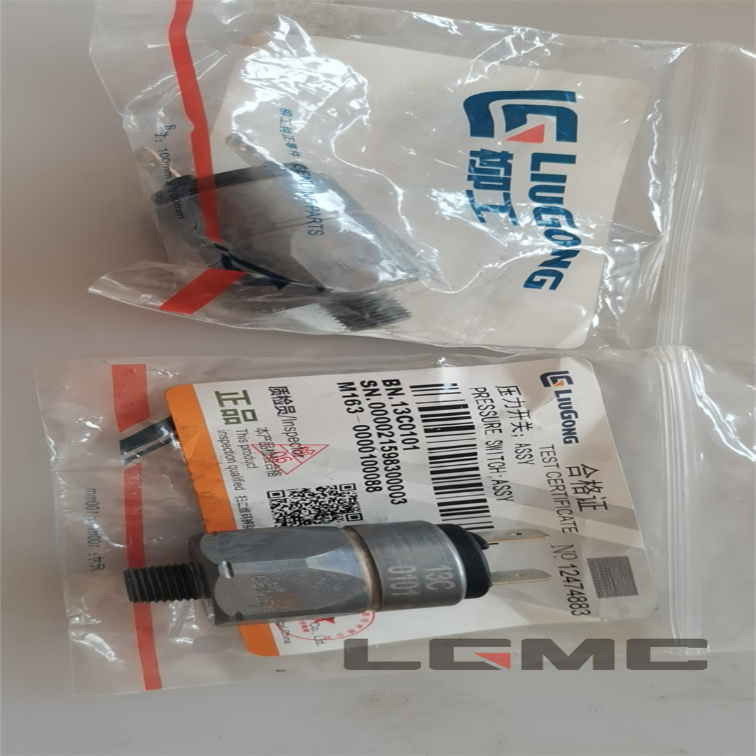 13C0101 Pressure switch