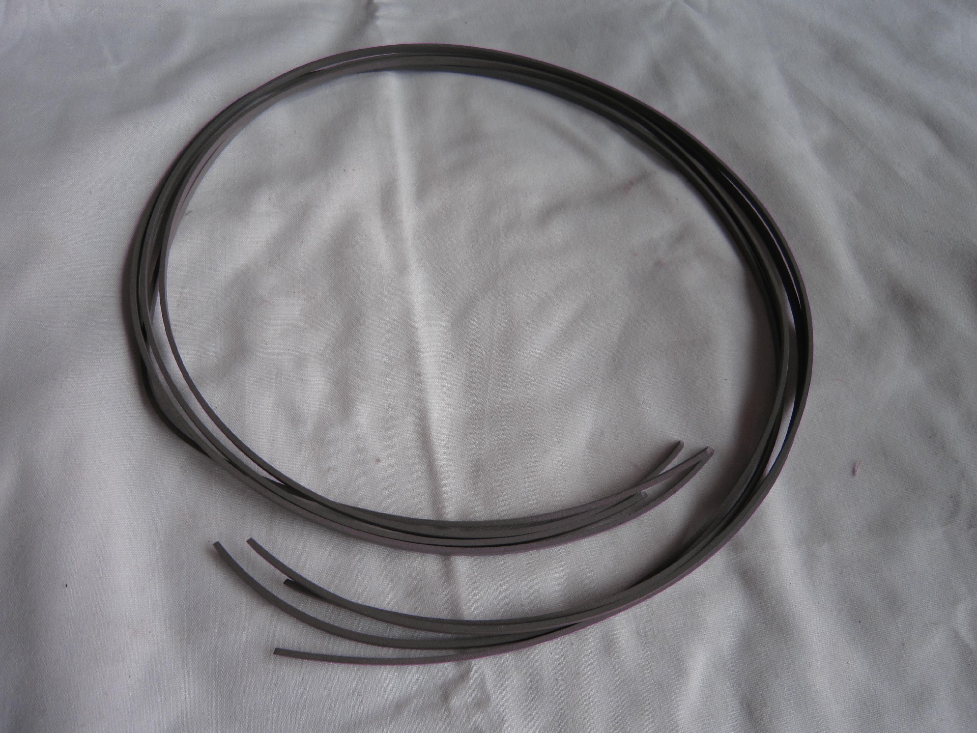 0501312494 Piston guide ring