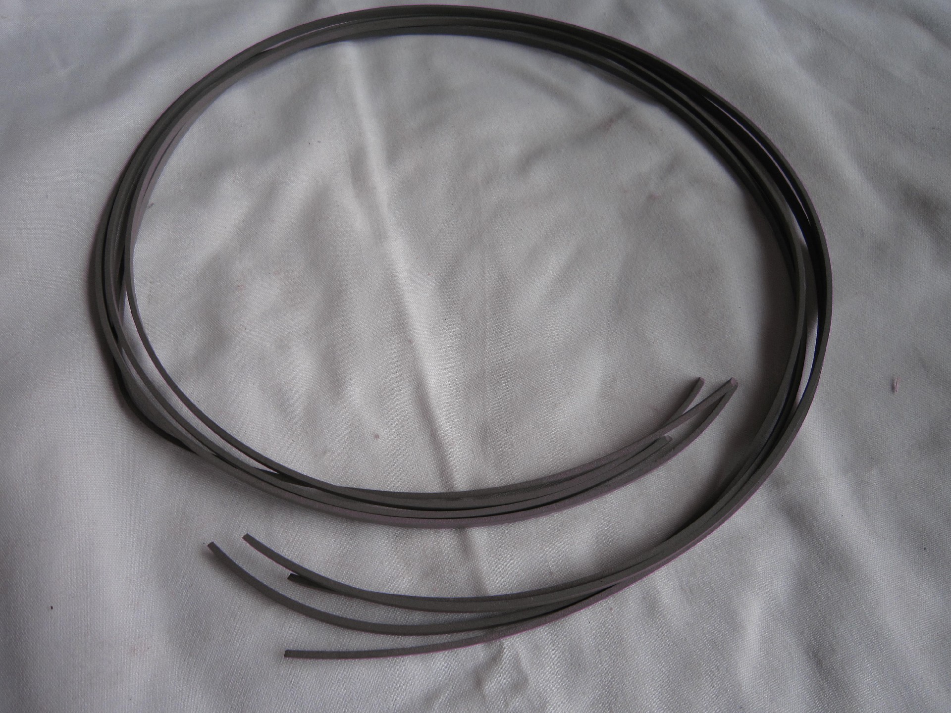 0501312494 Piston guide ring