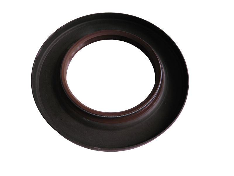 0750111106 Oil seal