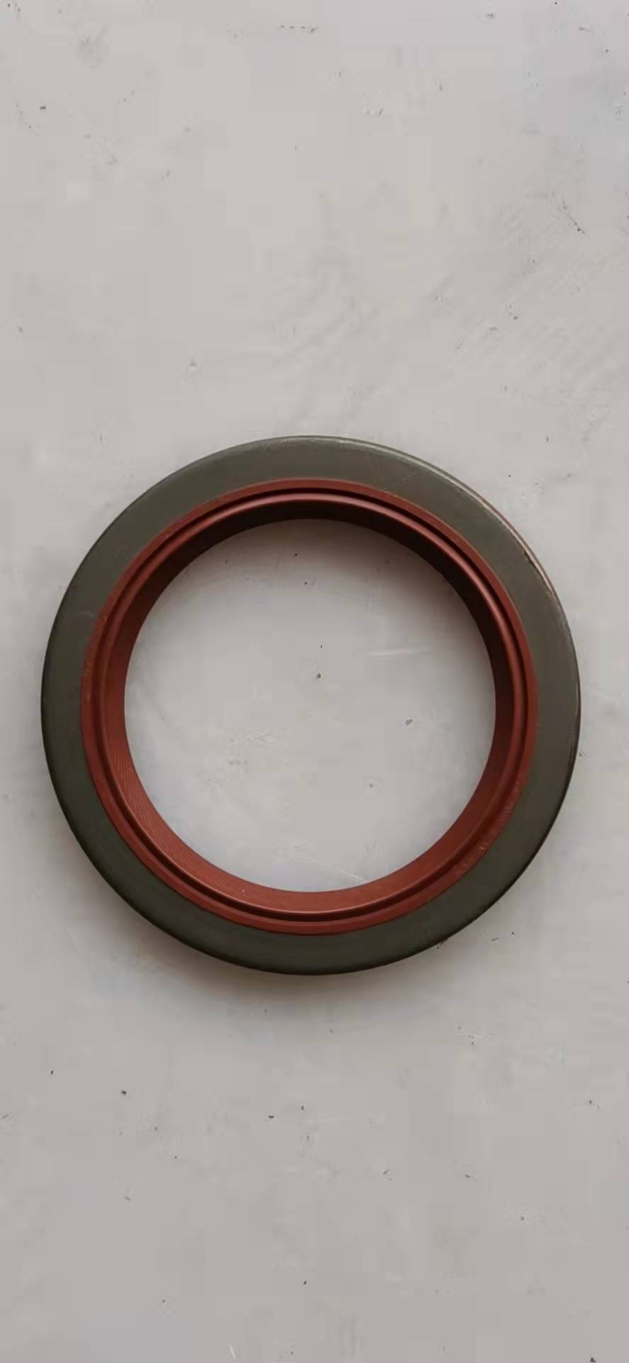 0750111231 Sealing ring SEAL