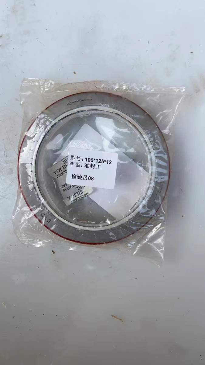 100X125X12 Crankshaft Oil Seal