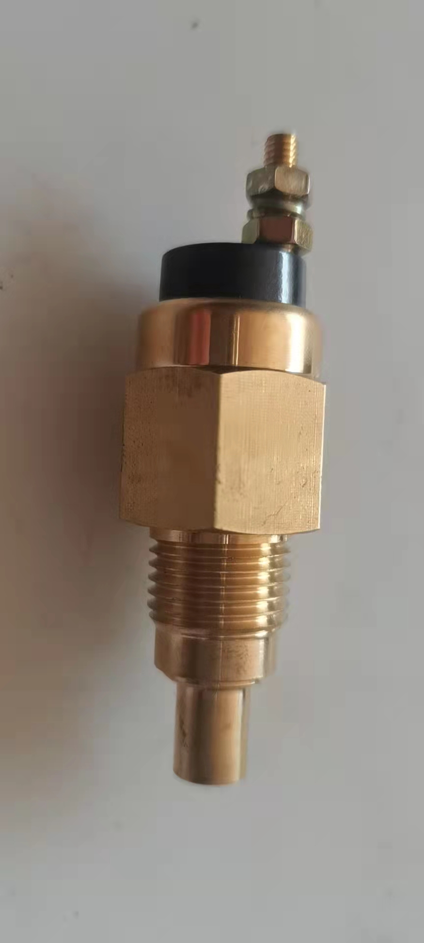 1-82450013-0 Water temperature sensor