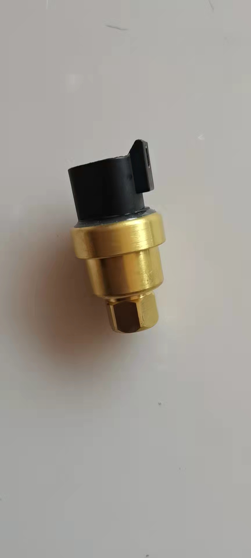 161-1704 Sensor