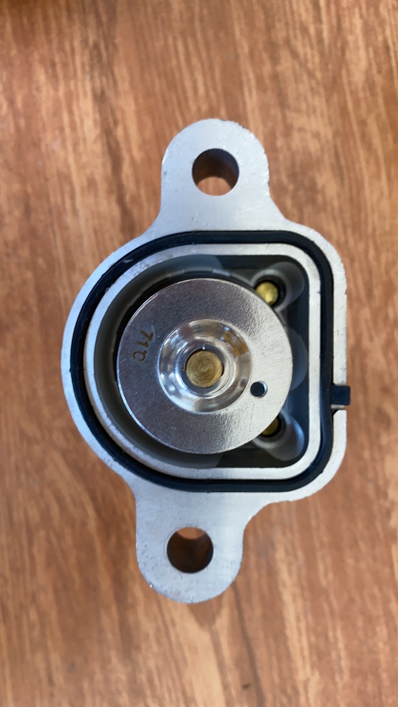 277-2974 Thermostat