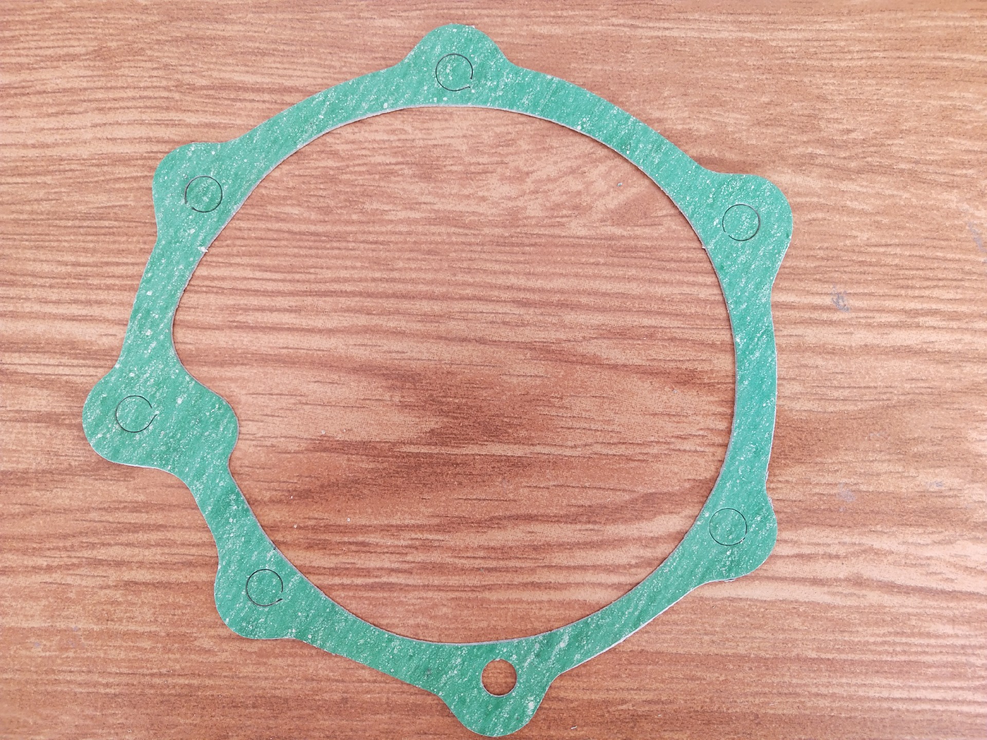 4110000054284 (4110000189026) water pump gasket