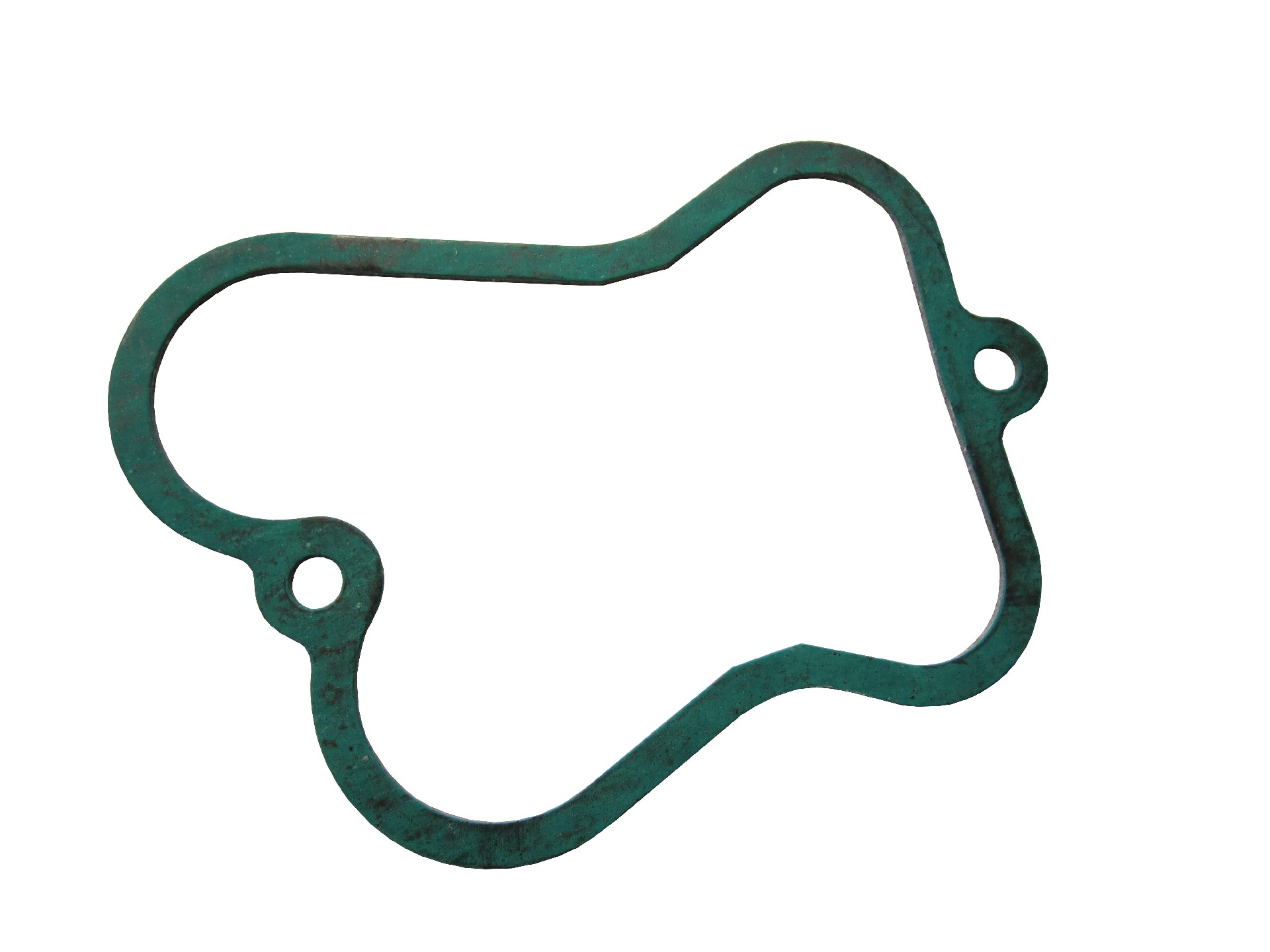 SP101925 Cylinder head cover gasket