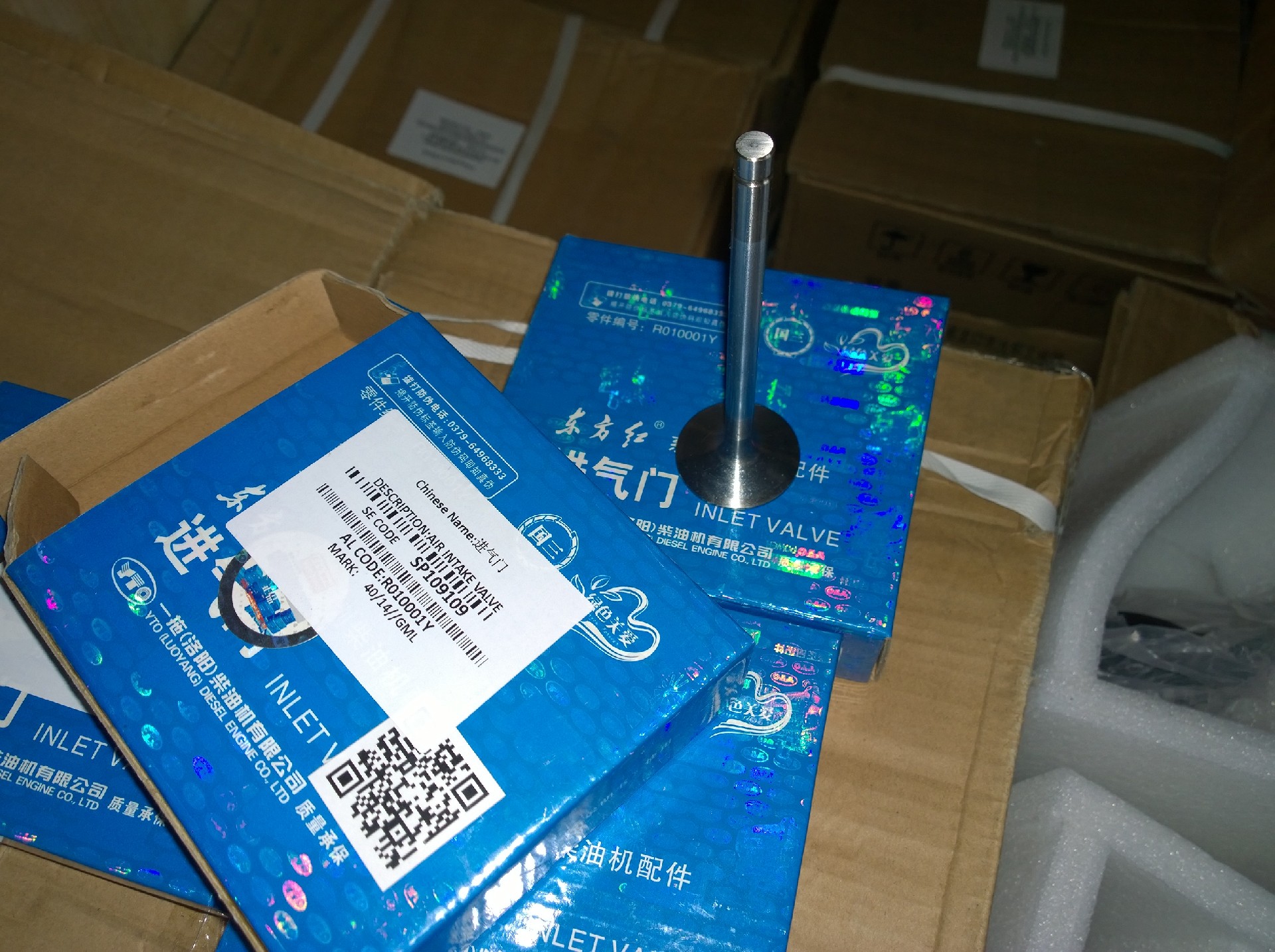 SP109109 Intake valve