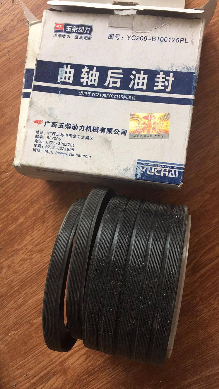 YC209B100125PL crankshaft rear oil seal
