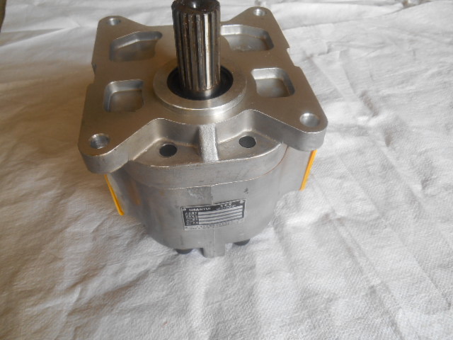 16Y-61-01000 Working pump SDH 20kg