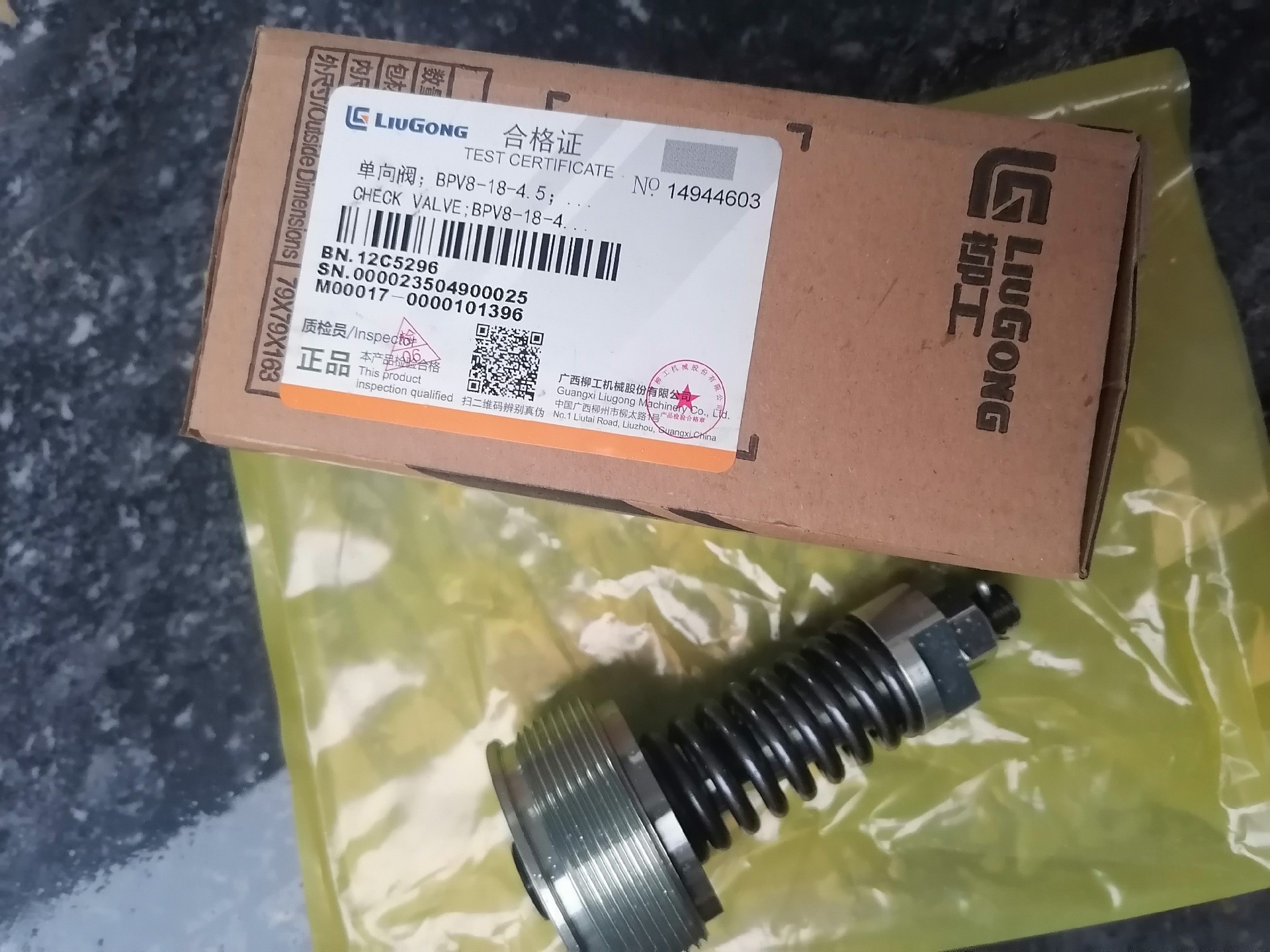 12C5296 Check valve