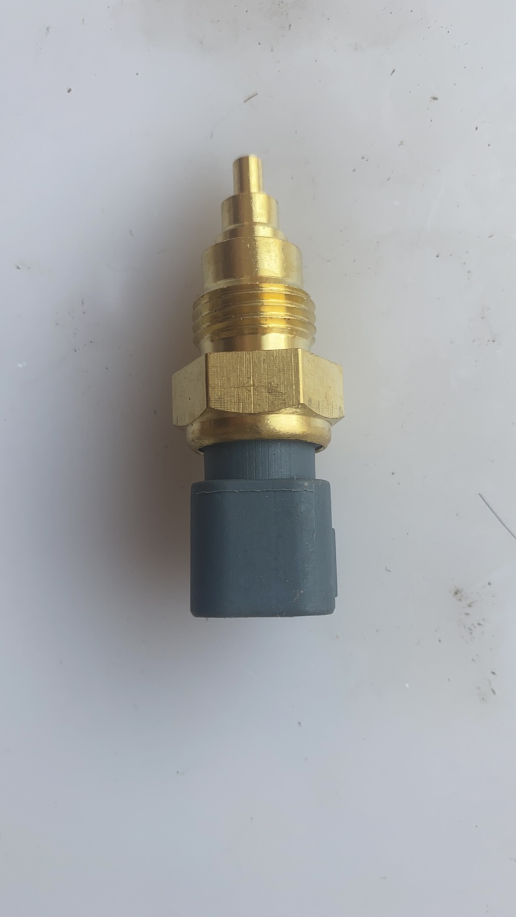 S834201250 Temperature sensor